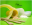 logo phapack.png