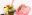 e2S Fruits frais p.jpg