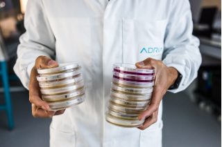 adria analyse microbio boite de pétri