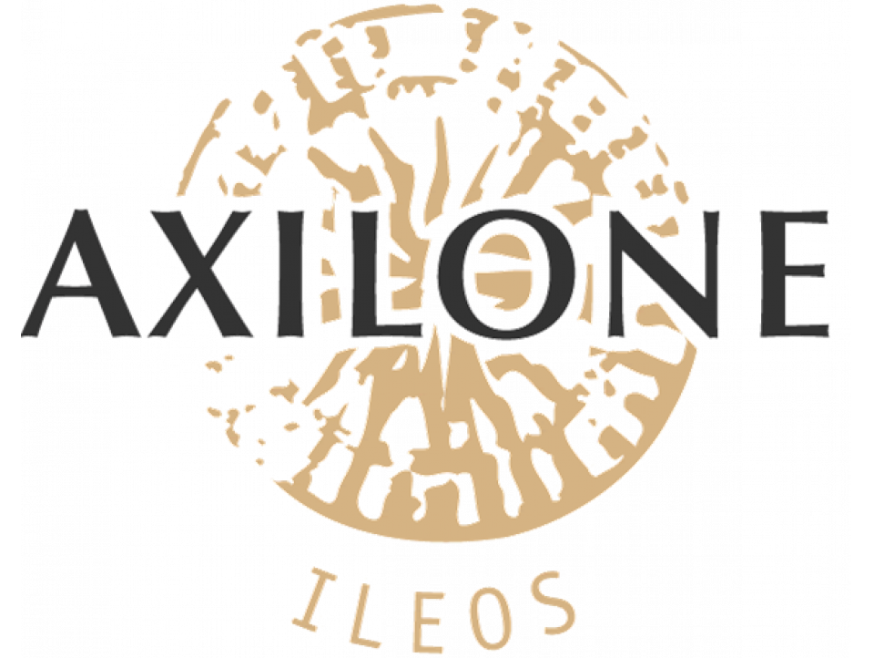 LOGO AXILONE.png