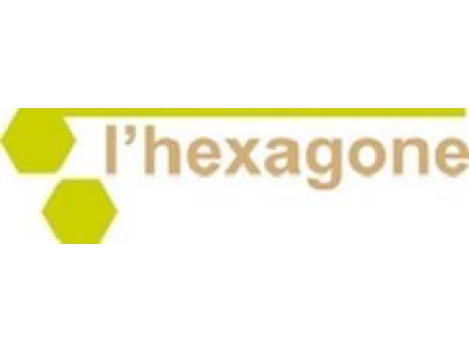 l hexagone.jpg