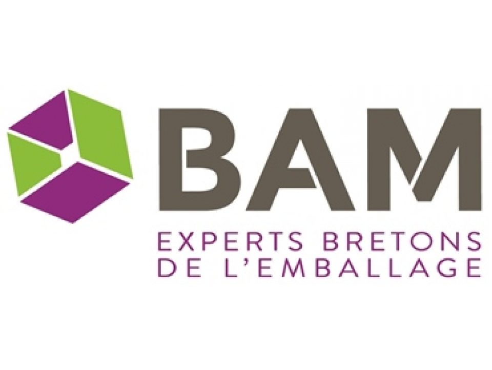 logo BAM2.jpg