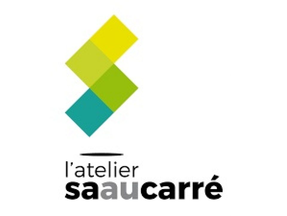 sa au carre logo.jpg